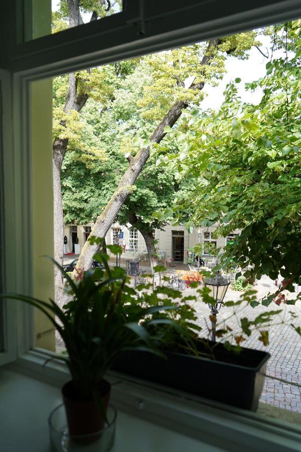 Cafe Alice & Pension Gmbh Potsdam Esterno foto