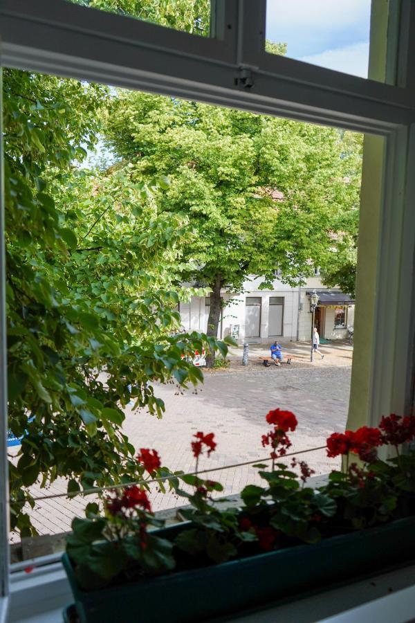Cafe Alice & Pension Gmbh Potsdam Esterno foto