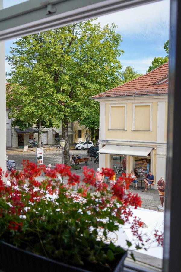 Cafe Alice & Pension Gmbh Potsdam Esterno foto